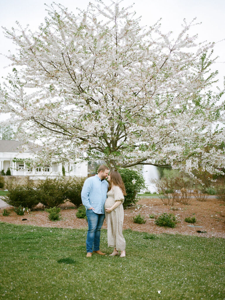A pregnant woman and her husband pose together under a flowering white tree 