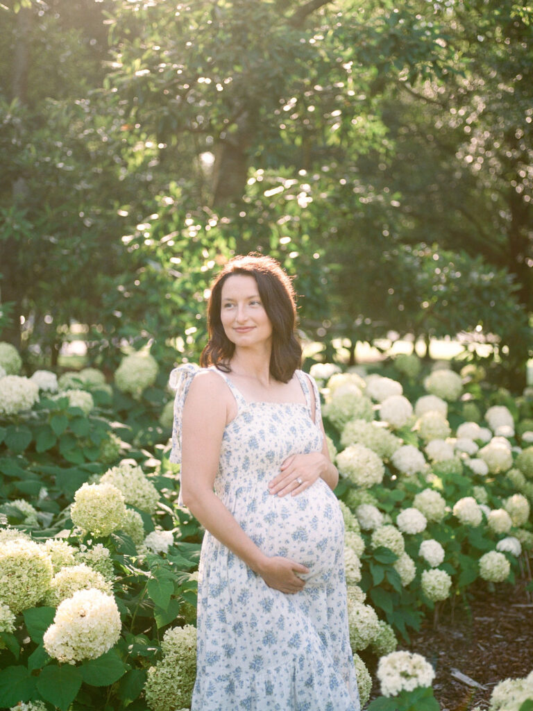 A pregnant woman in a blue and white dress stands next to white hydrangea bushes, holding her baby bump at her Delano Park family and maternity photos