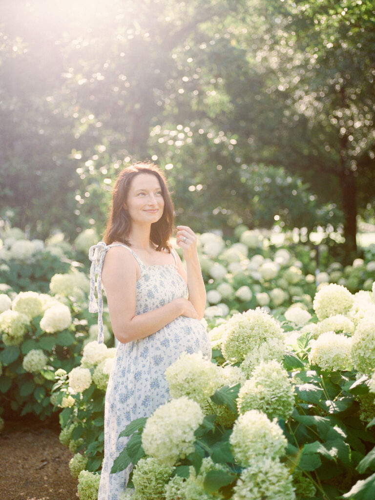 A pregnant woman in a blue and white dress stands next to white hydrangea bushes, holding her baby bump at her Delano Park family and maternity photos