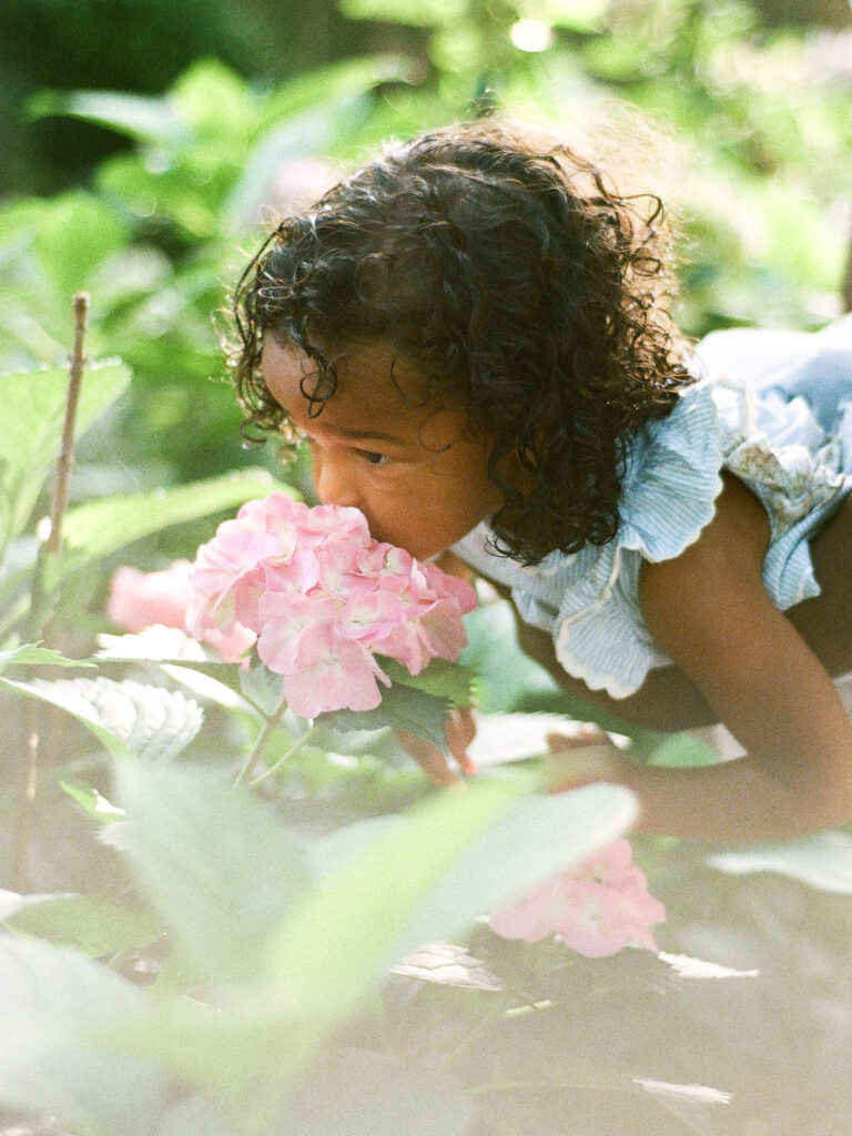 girl smells hydrangeas in delano park rose garden by fauna & film