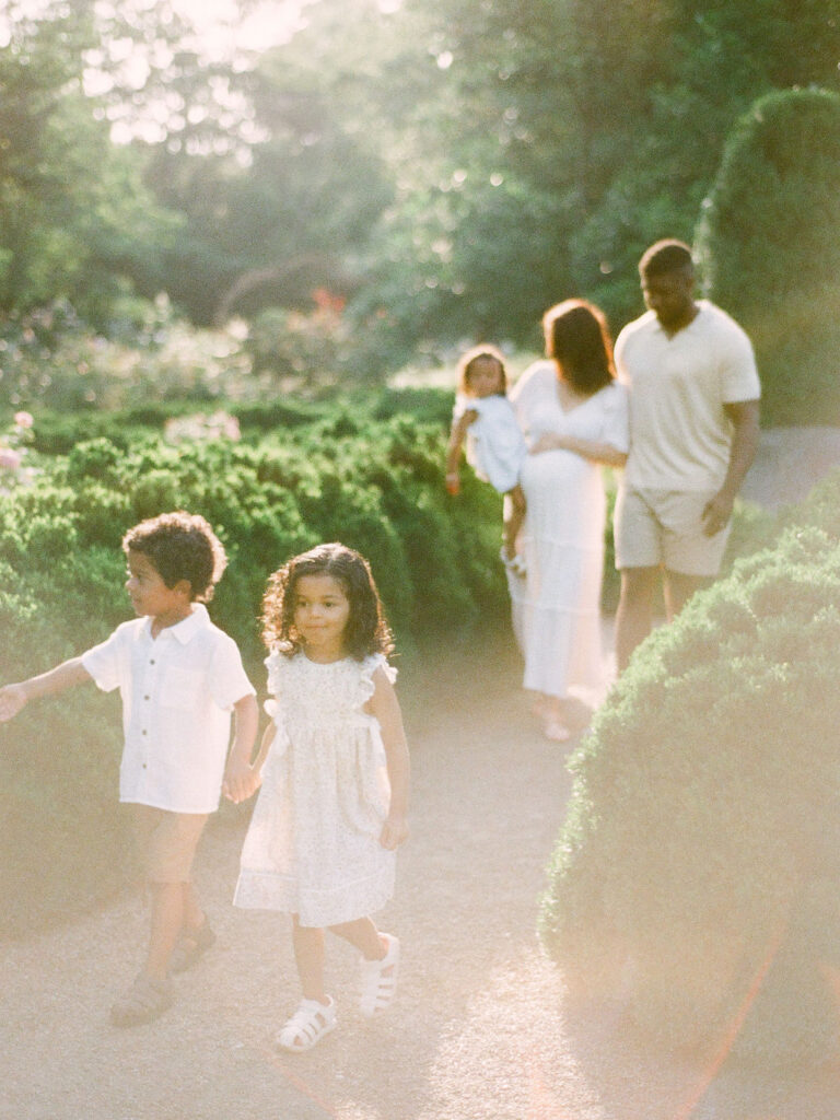 family explores delano park rose garden during golden hour portraits by fauna & film