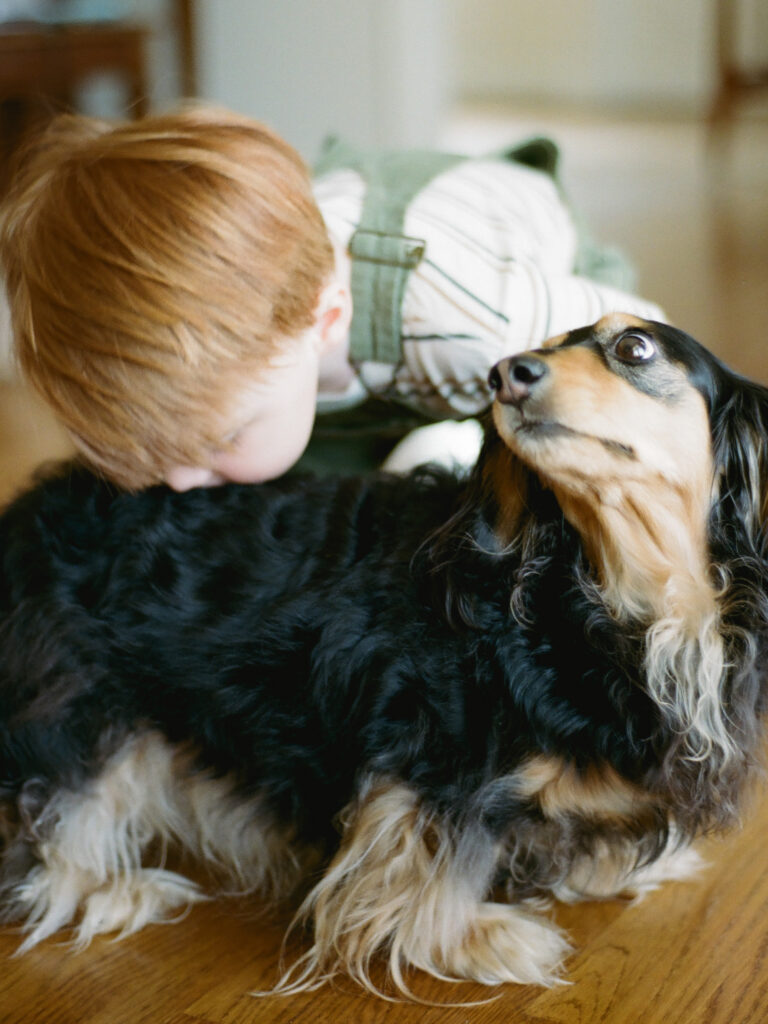 a toddler kisses a dachshund