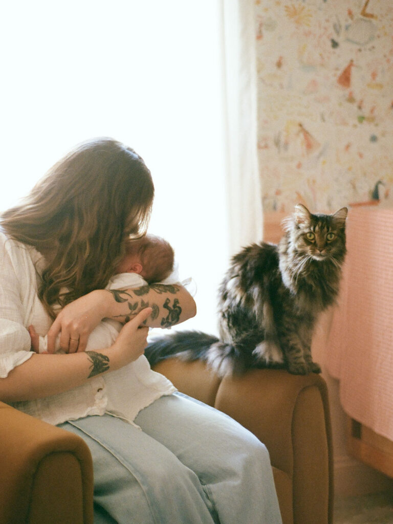 newborn photos at home